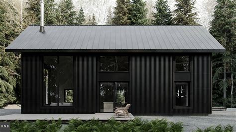 black metal shop house|cabin with black metal roof.